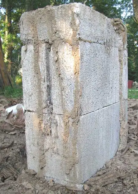 Mud tubes running up the foundation of a building